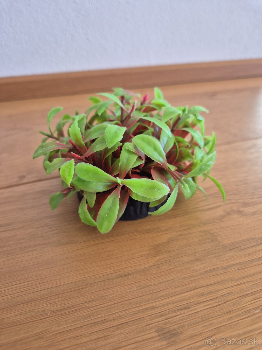 Akvárium - ako nové - 4