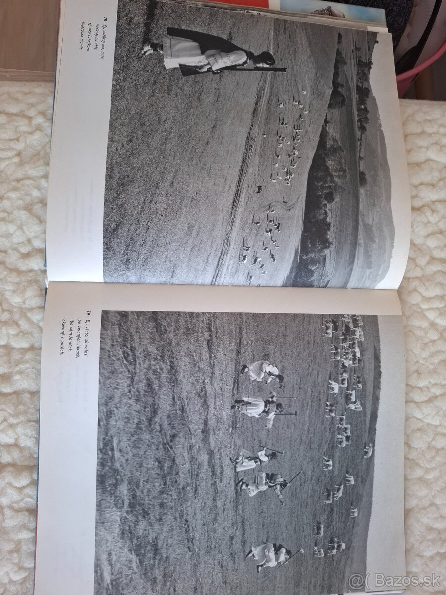 Karol Plicka Zlata brana - 4