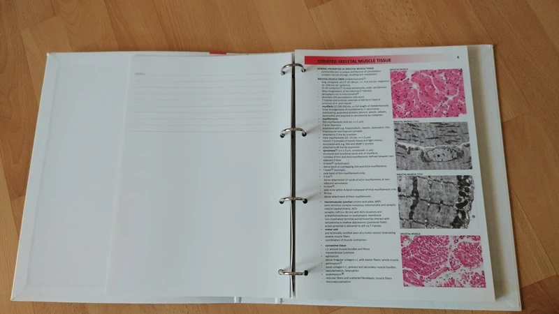 Atlas histologie - 4