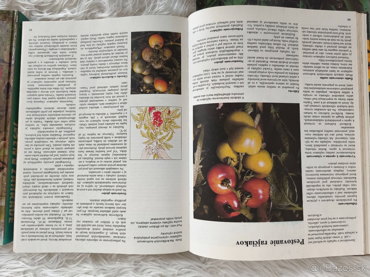 Sada kníh Jar, leto,jeseň, zima v záhrade - 4