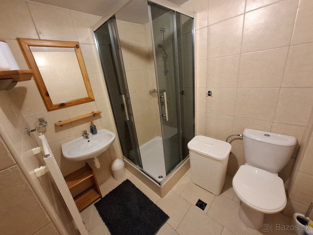 Dám do dlhodobého prenájmu jedno izbový byt - 4
