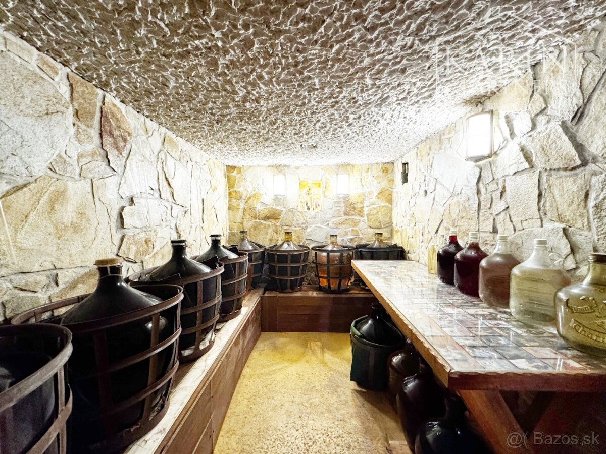 Vinohradnícky domček po reko aj s vinohradom, za Líštinami - 4