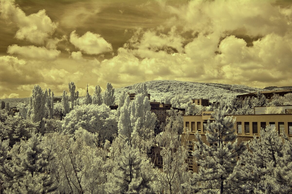 Olympus E-M1 - po IR konverzii 720 nm - 4