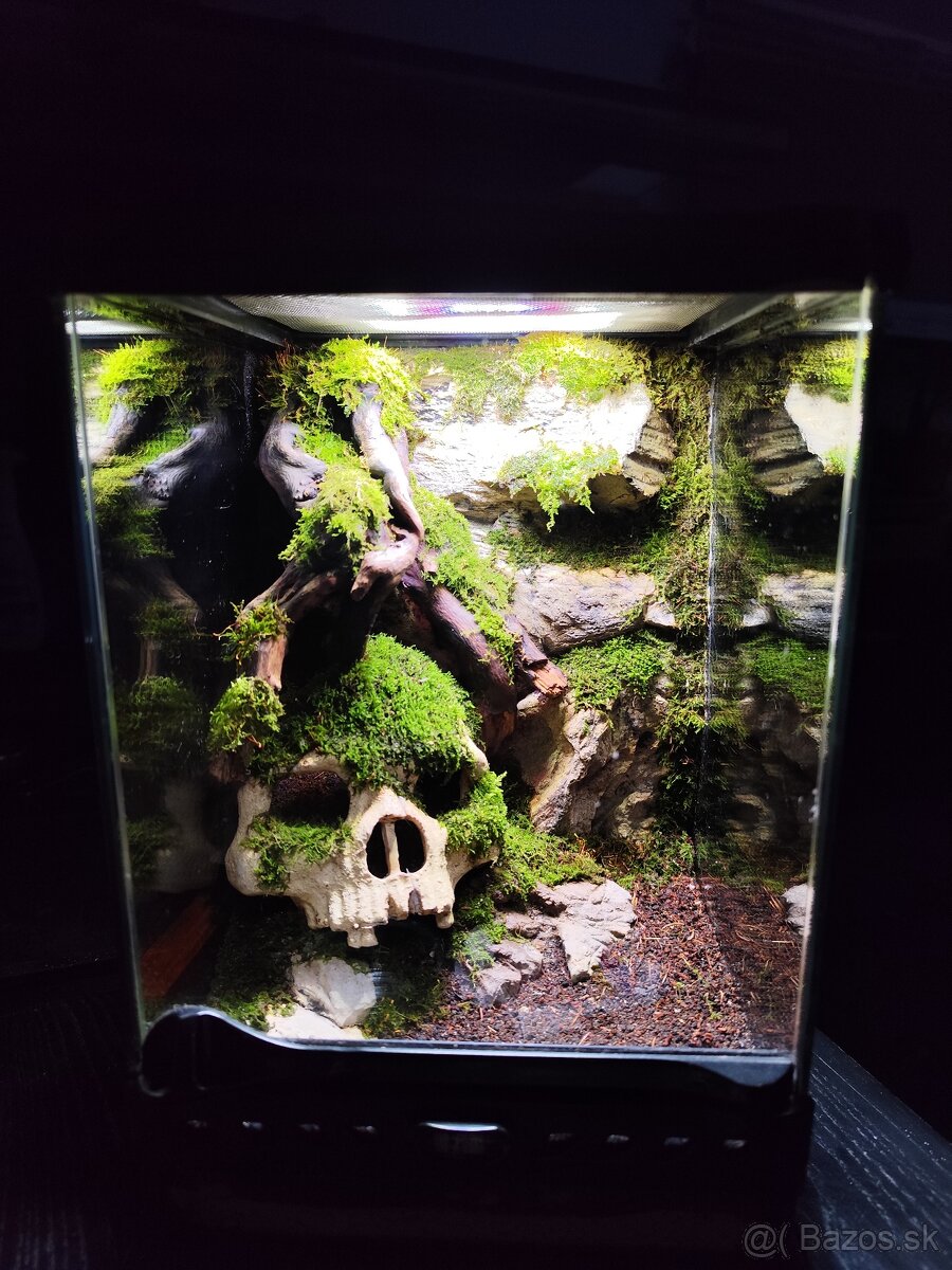 Terarium Exo terra - 4