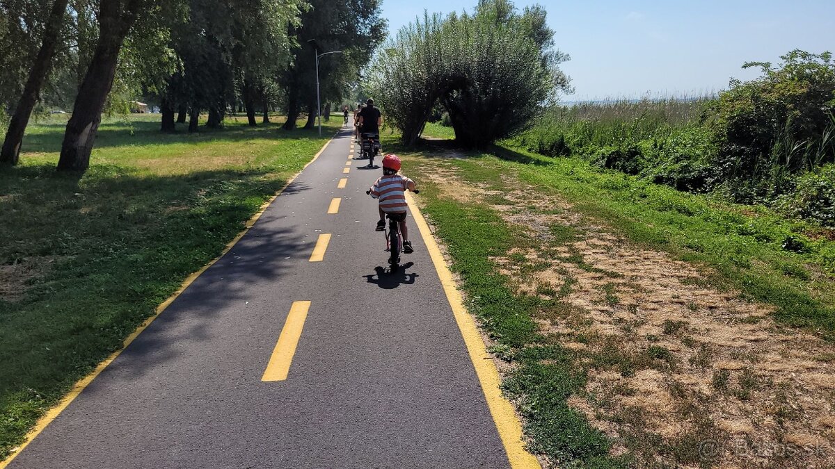 Detský bicykel YEDOO Pidapi 16 alu – červený - 4