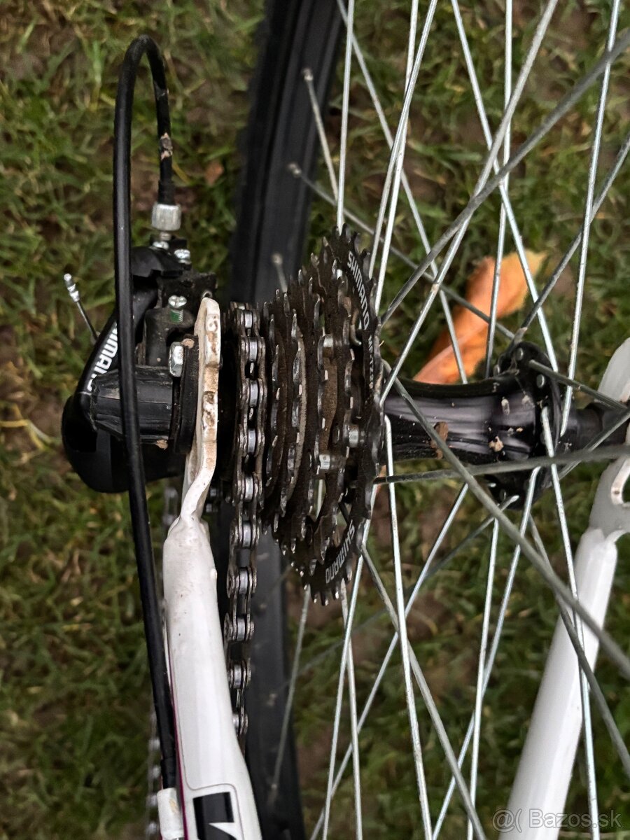 Bicykel CTM Willy - 4