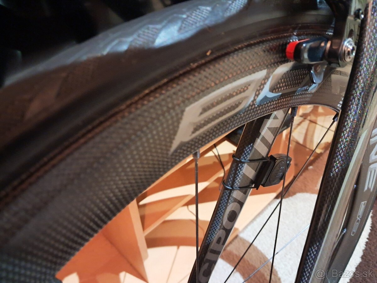 Cipollini bond 2 - 4