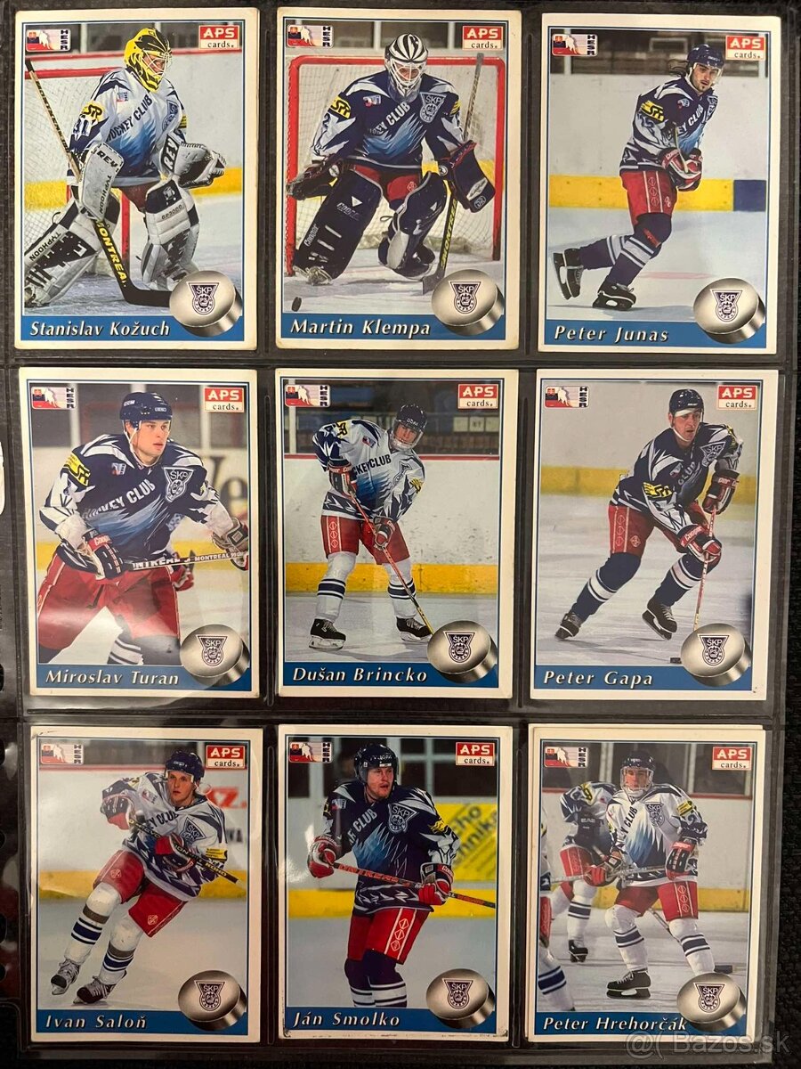 APS karty hokej 95/96 - 4