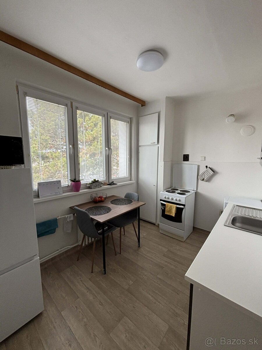 Prenájom 2 - izbového bytu - 4