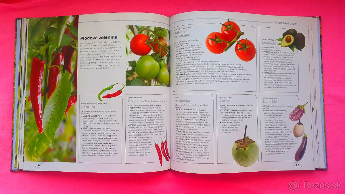 Labužníkova záhrada. - 4