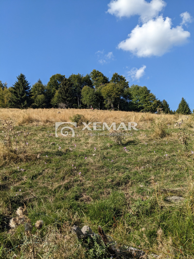 Na predaj pozemok v Hriňovej - 4