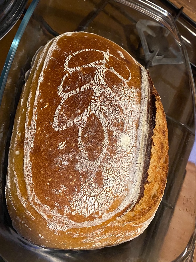 Kvások - ražný, lievito madre - 4