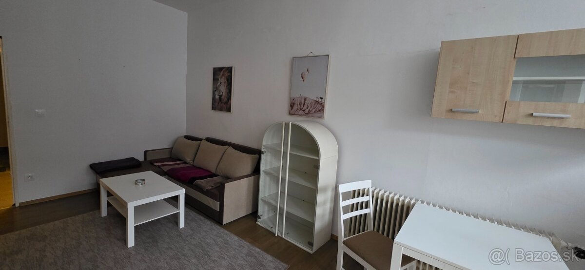 Prenajmeme veľký 1 izb byt v Šali - 4