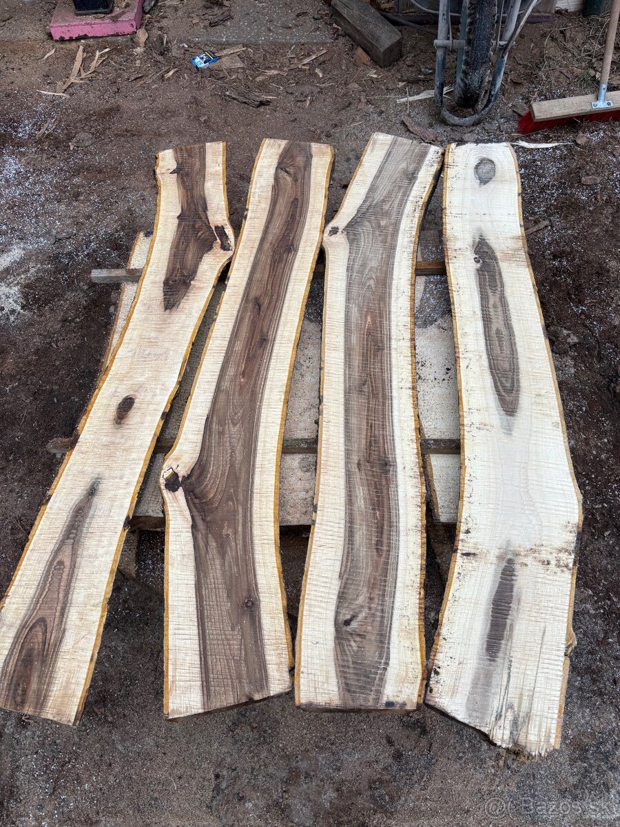 Orechové dosky rezivo drevo orech - 4