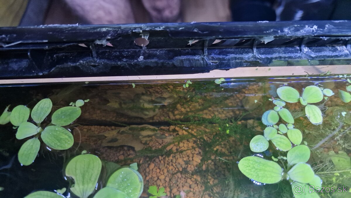 Predám Paludarium - 4