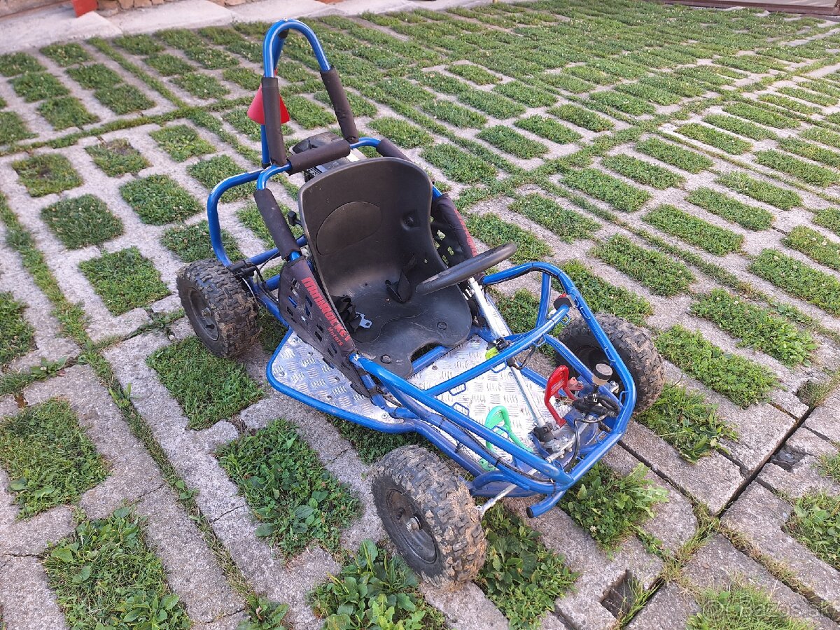 Buggy - 4