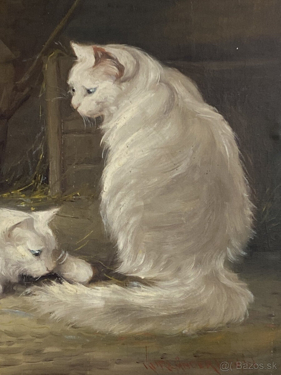 Obraz Mačky olej na plátne - 4