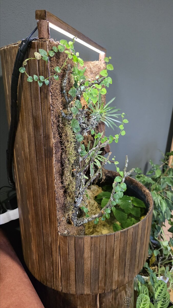 Paludarium - 4