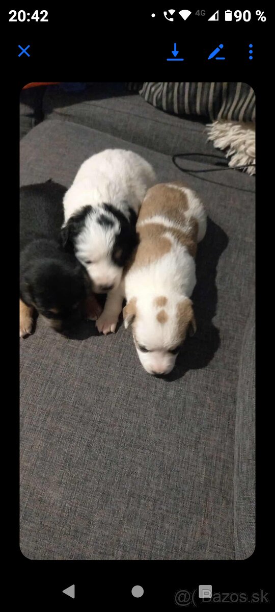 Darujem za symbolickú cenu alebo zadarmo - 4