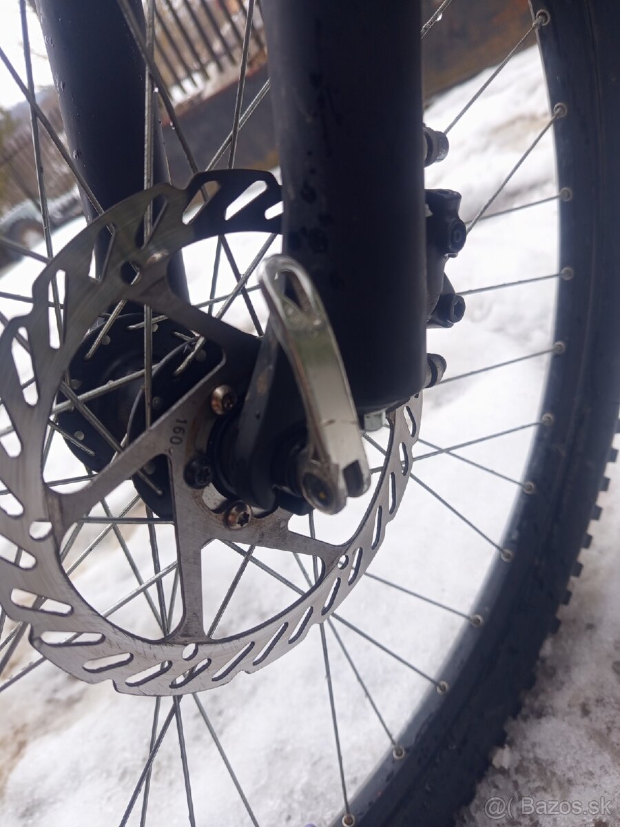 Vedora Camouflage 2019 - 4