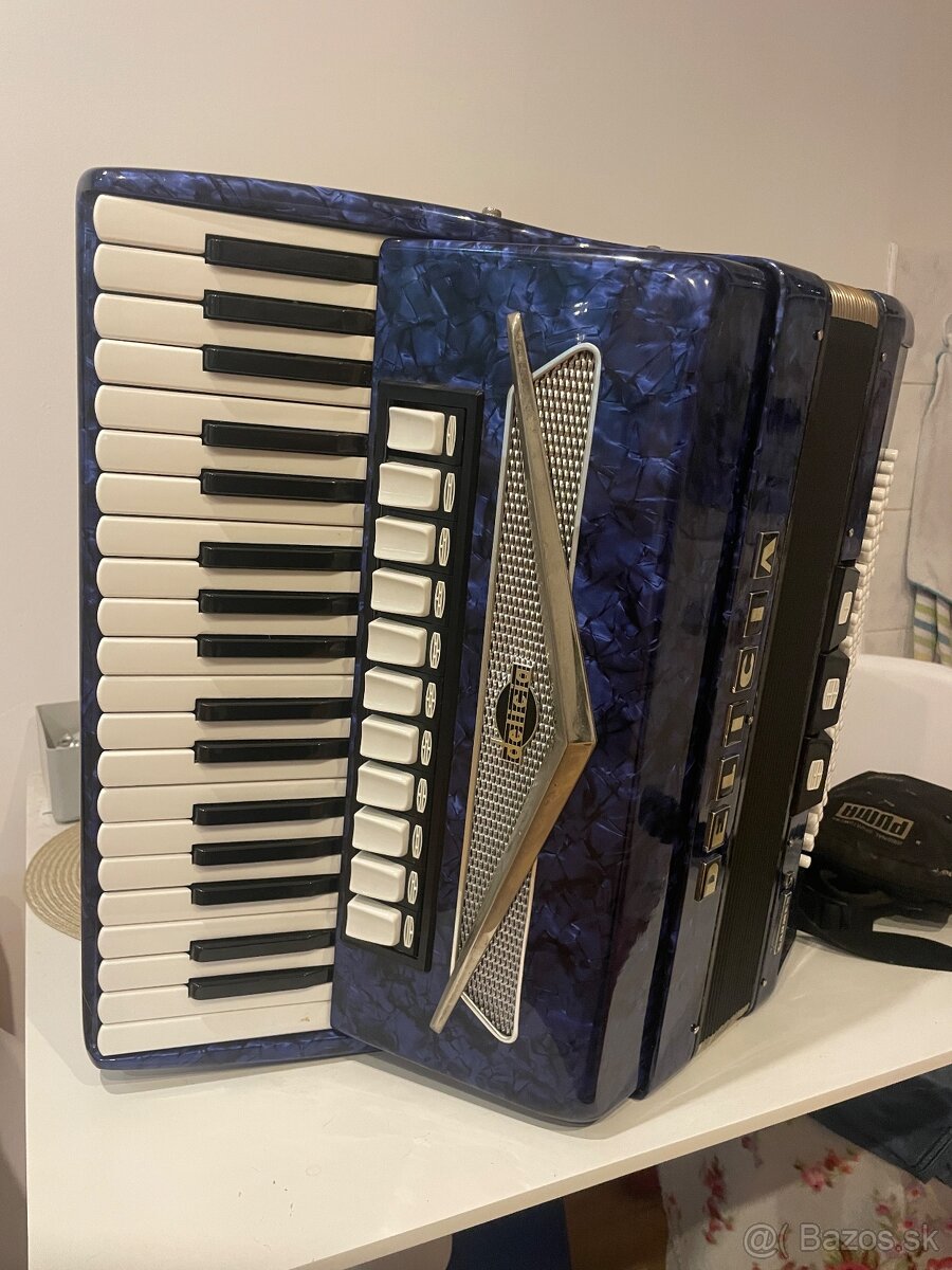 Delicia Carmen V - 4