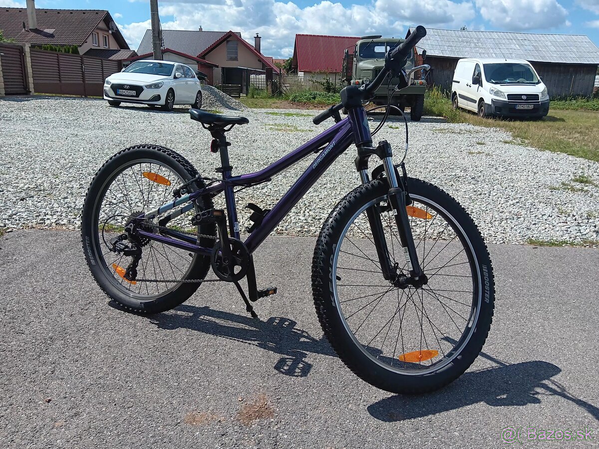 Bergamont - 4