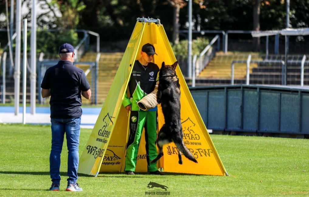 Nemecký ovčiak s PP - 4