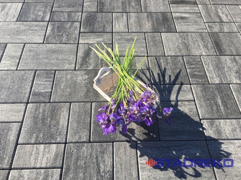 ZAMKOVÁ DLAžBA obrubník palisada zatrovnovacka - 4