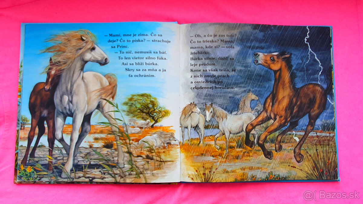 Po stopách koníka, levíka a sloníka. - 4