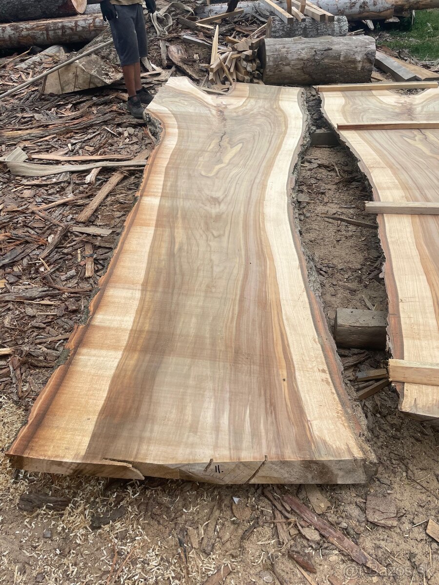 Nadrozmerné topolove rezivo fošne drevo - 4