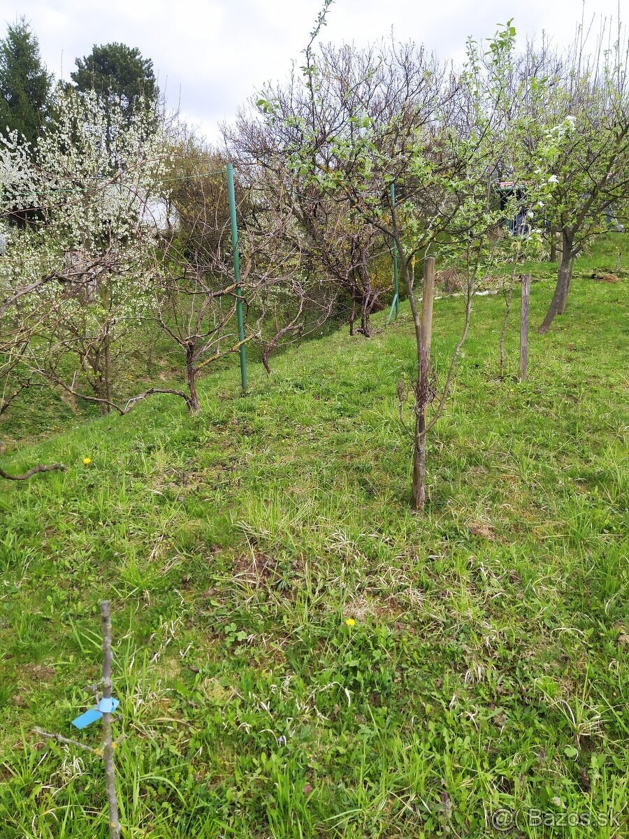 Vyrazna zlava - Zahrada CHRAST sídlisko Juh Trenčín - 4