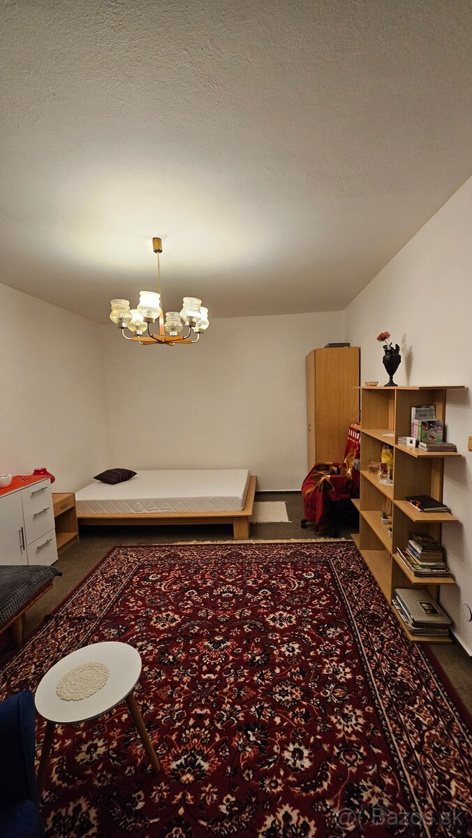 TOP PONUKA 1 izbovy Rub II - 4