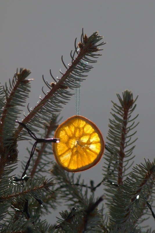 Canon FD 200/4 M42 - 4