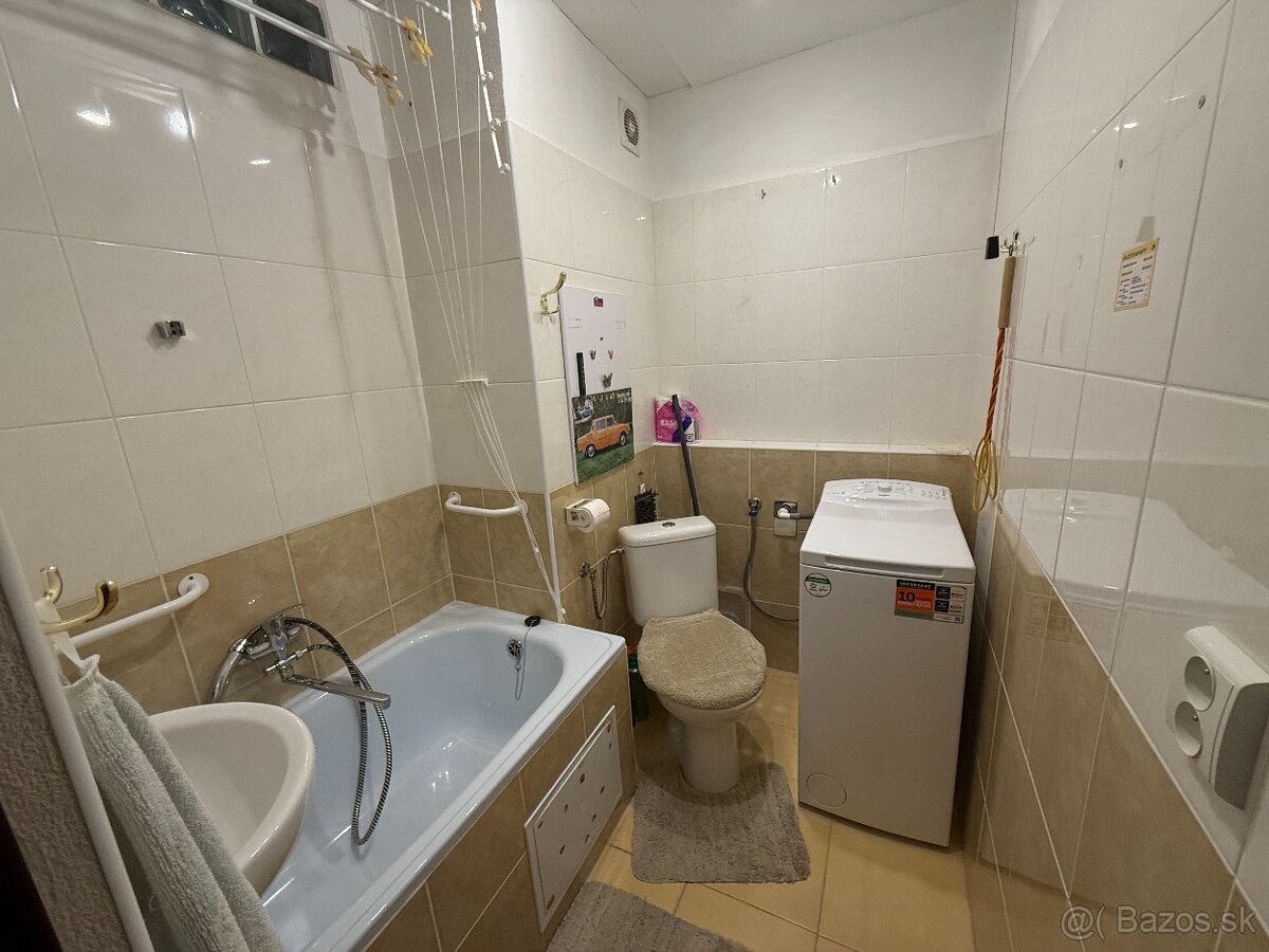 1 izbový byt na prenájom - 4