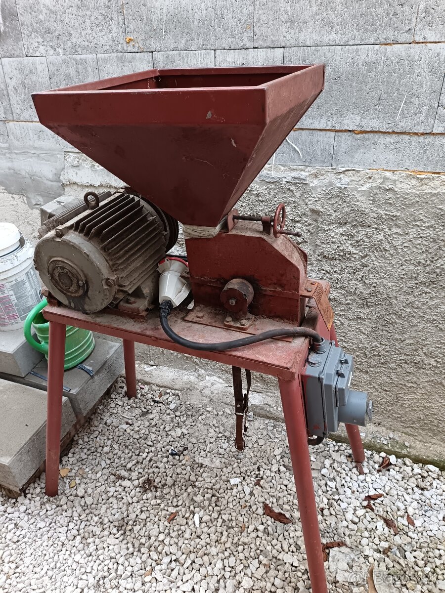 Kladivkovy srotovnik - 4