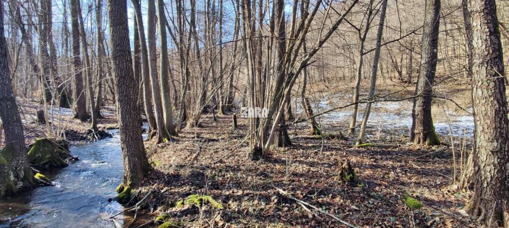 ŠUGOV-ŠUGOVSKÁ DOLINA, INVESTIČNÝ veľkorysý pozemok 3716 m2. - 4