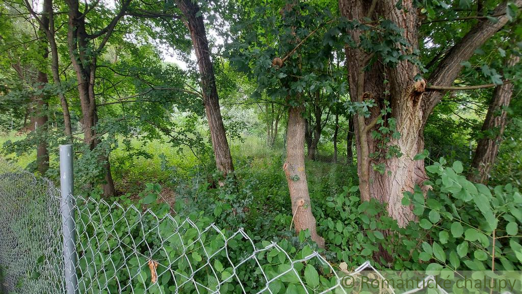 Záhrada pri lesíku na predaj Holíč - 4