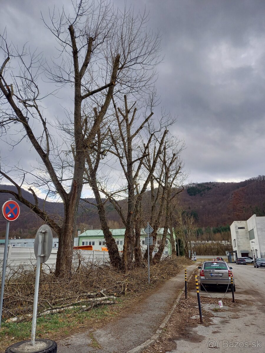 Výrub a opilovanie stromov LACNO A BEZPEČNE - 4