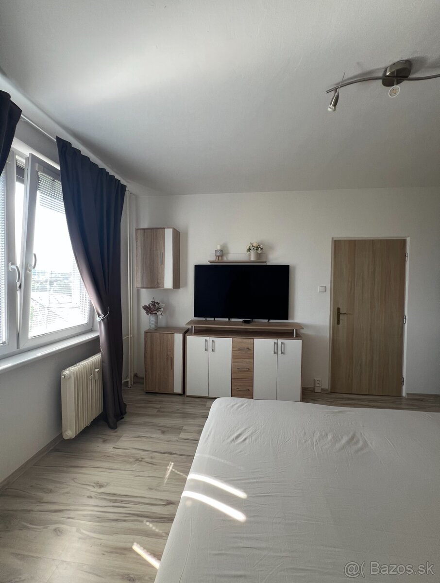 Na prenájom 1- izbový byt v centre mesta - 4