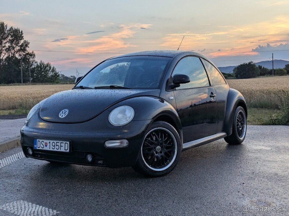 VW New Beetle - 4