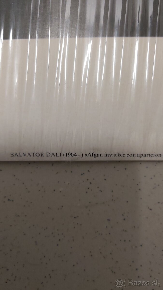 Foto na kartóne Salvator Dalí 80x60cm - 4