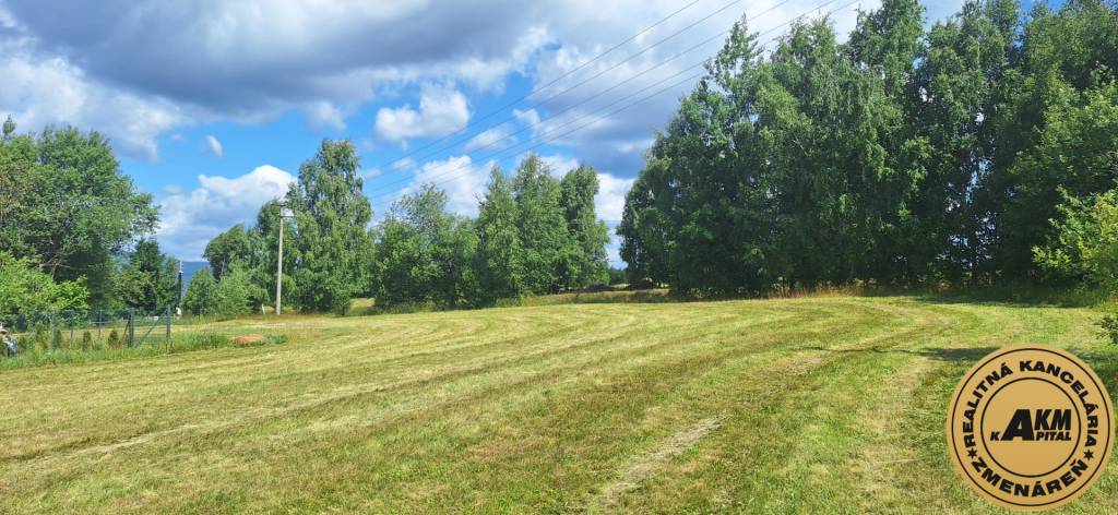 Pozemok 5058 m2 na predaj, Detvianska Huta - 4