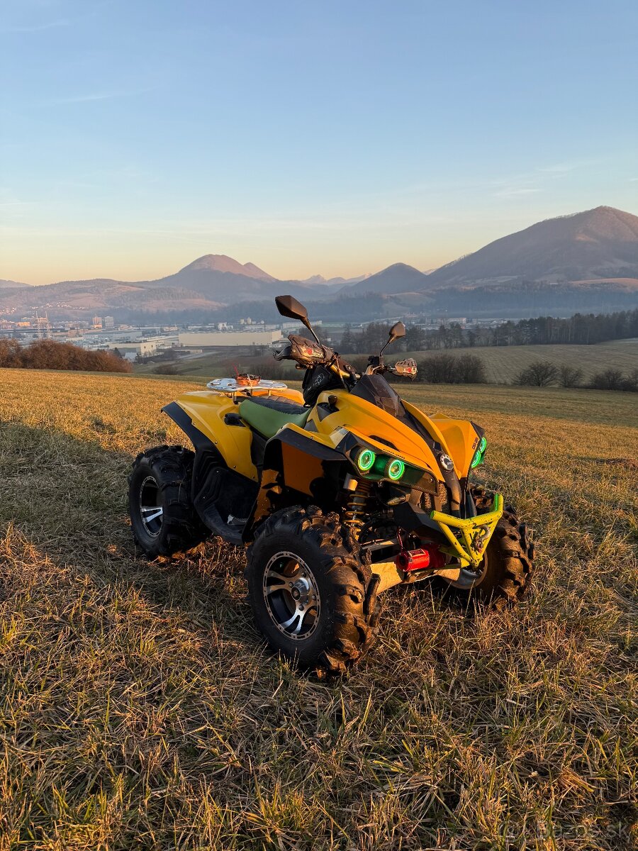 Can am renegade 800