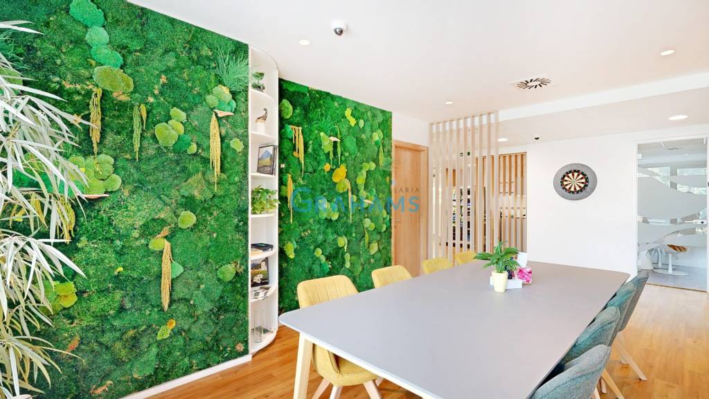 3D, prenájom, unikátne kancel. priestory Zuckermandel, Staré - 4