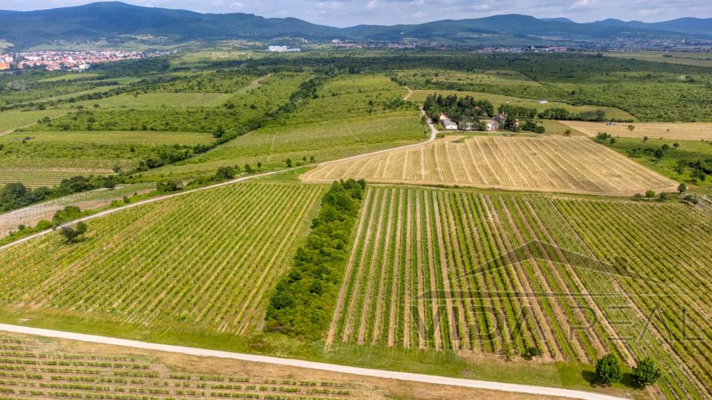 Na predaj zaujímavý pozemok v Modre s výmerou 6419 m2 - 4