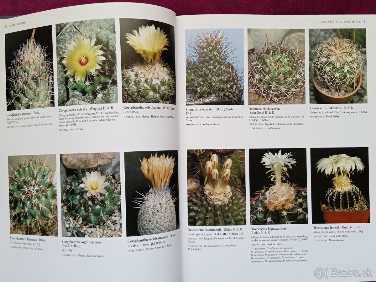 Ilustrovaná encyklopédia kaktusov v angličtine - 4