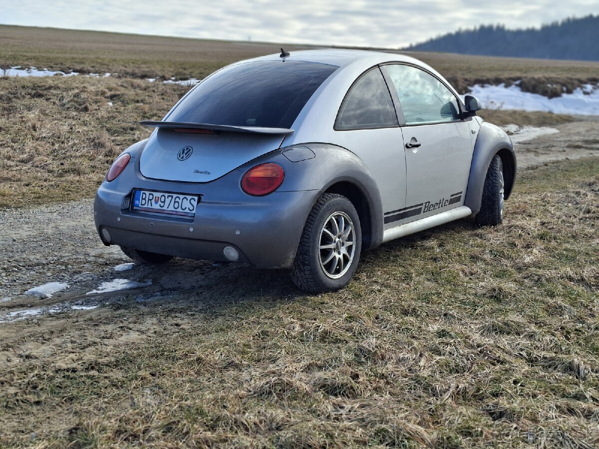 VW New Beetle - 4