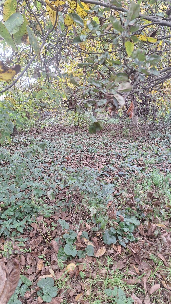 Stavebný pozemok 520m2 v Suchohrade, okr. Malacky - 4