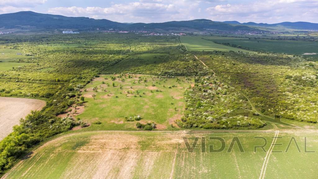 Pozemok v Modre s výmerou až 5.666 m2 - 4