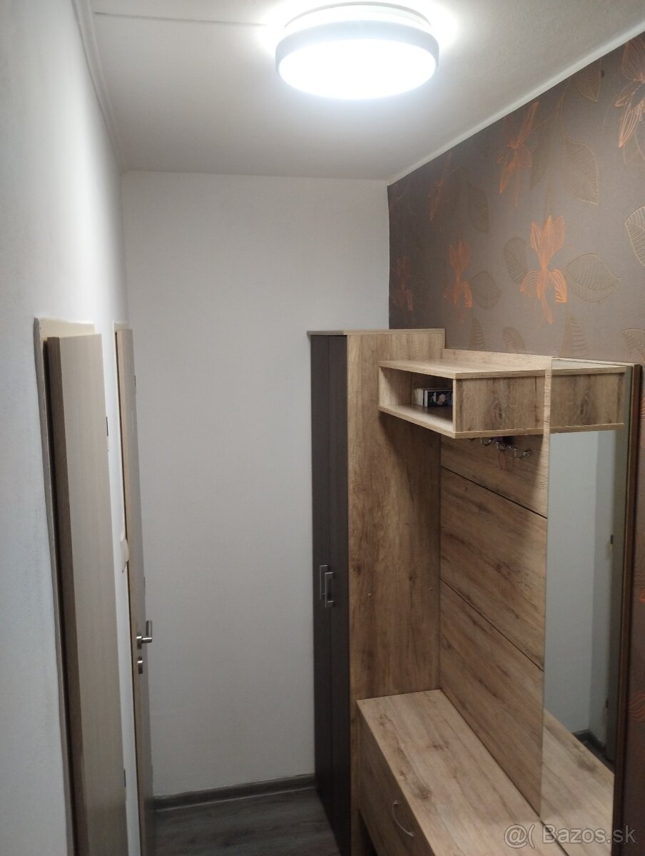 Kúpou voľný, zariadený 1 izbový byt. - 4